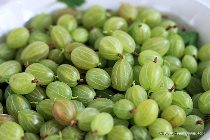 Gooseberries